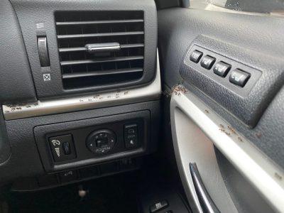 蚂蚁在汽车内部的仪表盘和车门上. 